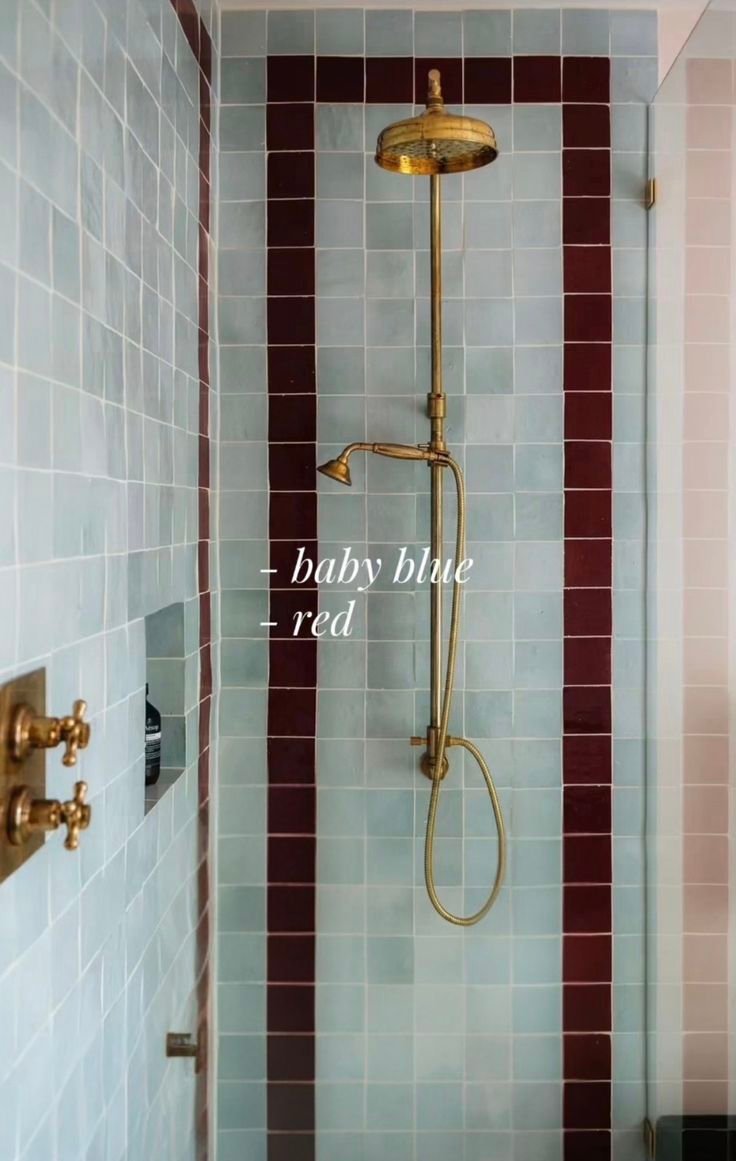 Blue and red tiled shower